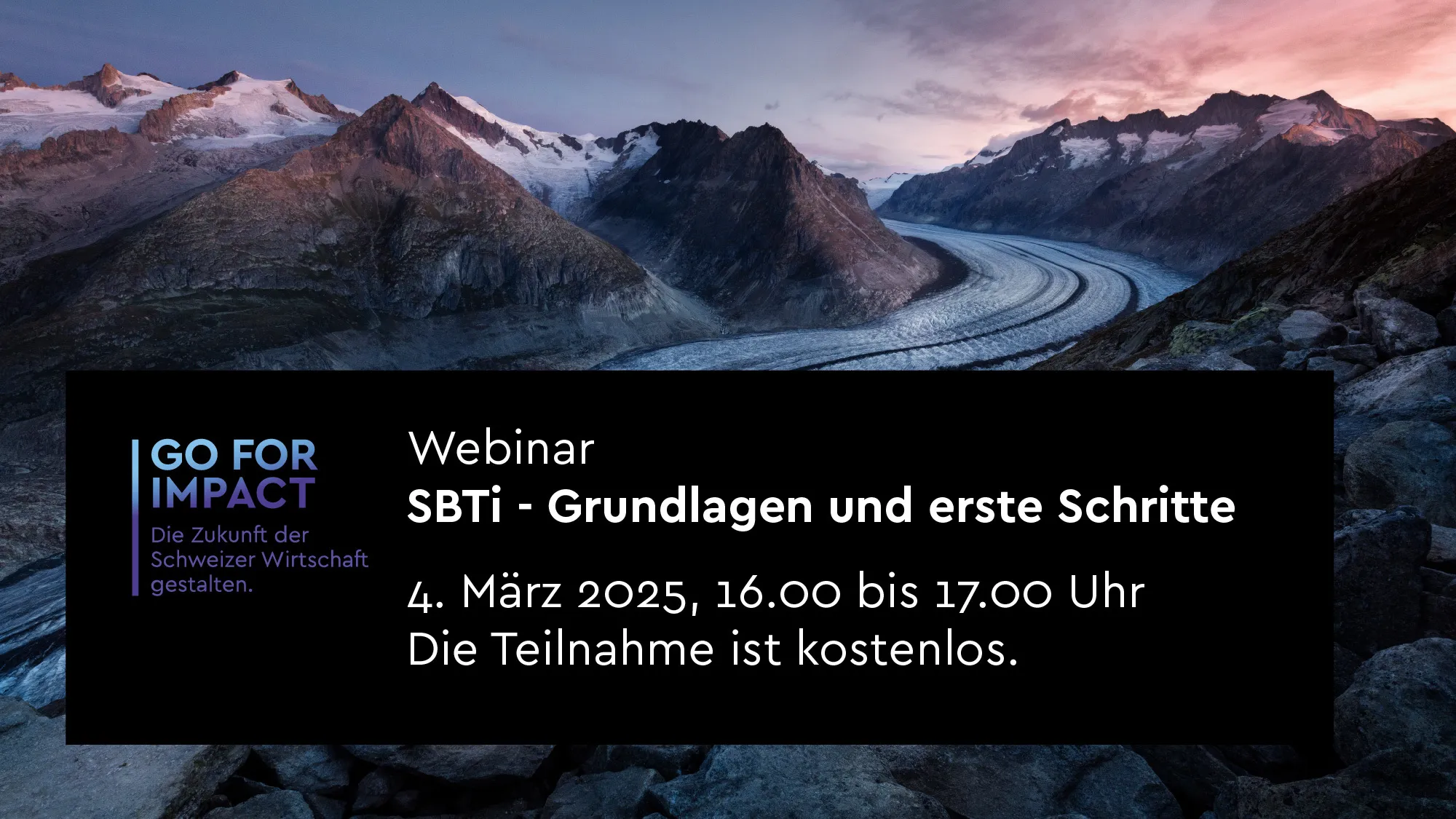 SB Ti Newsletter Header SB Ti