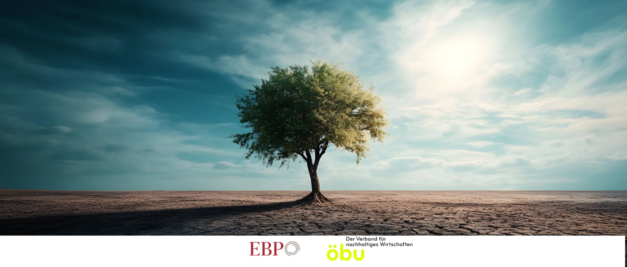 Webinar mit EBP 4