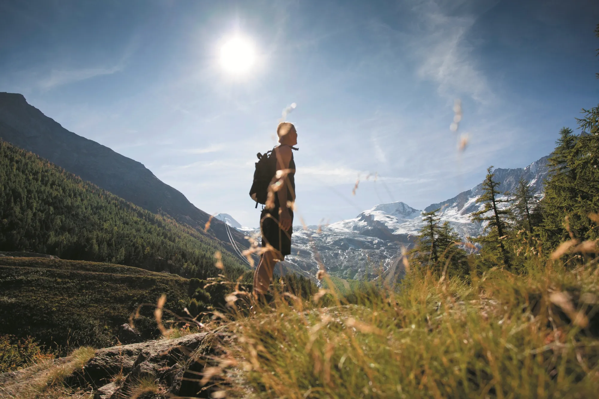 Ibex fairstay