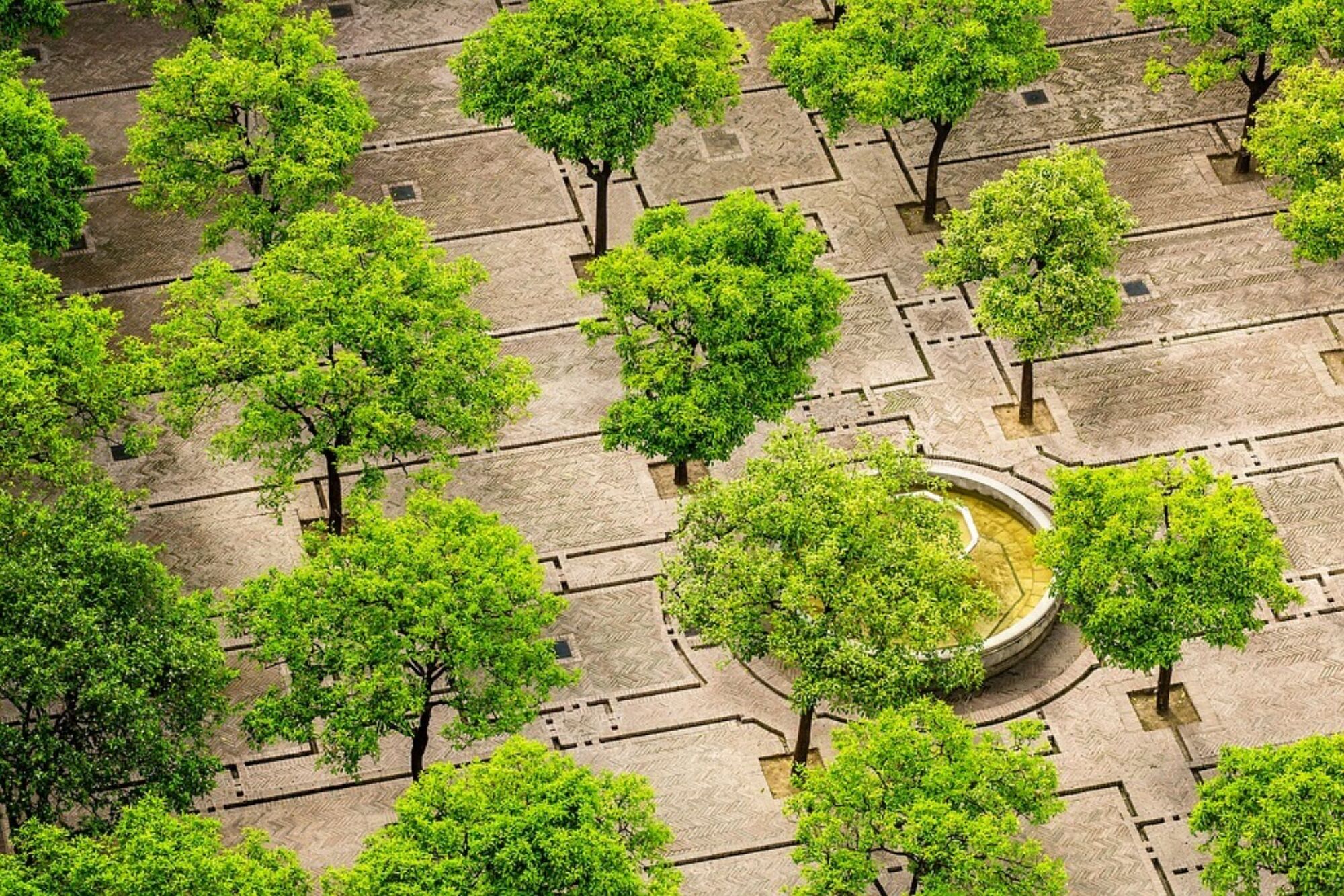 Tree 1817469 960 720