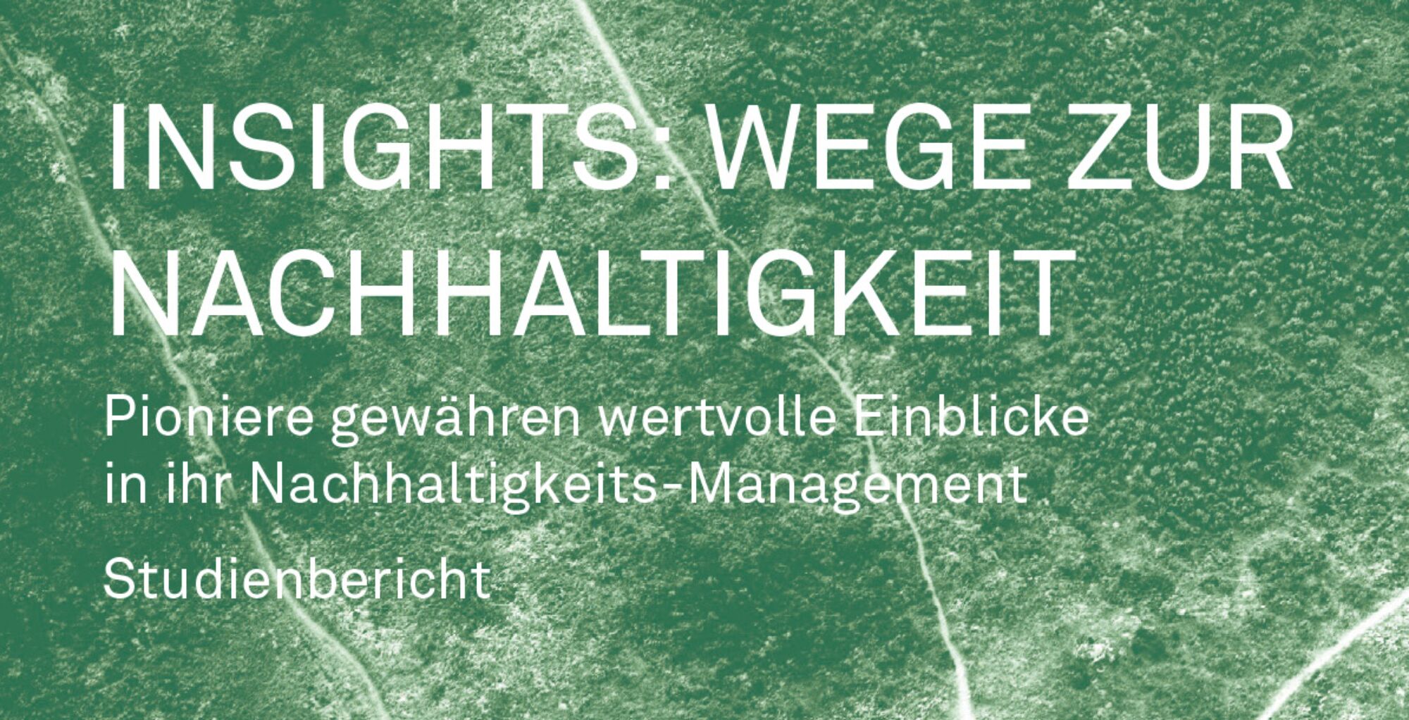 Insights