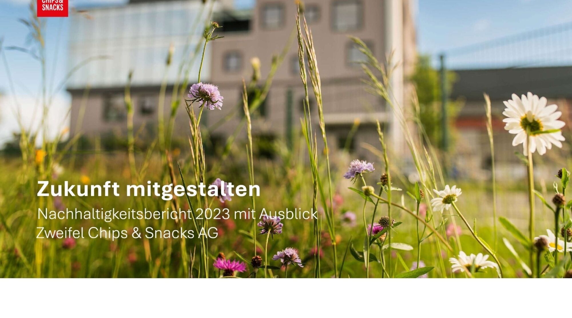 Nachhaltigkeitsbericht 2023 DE web