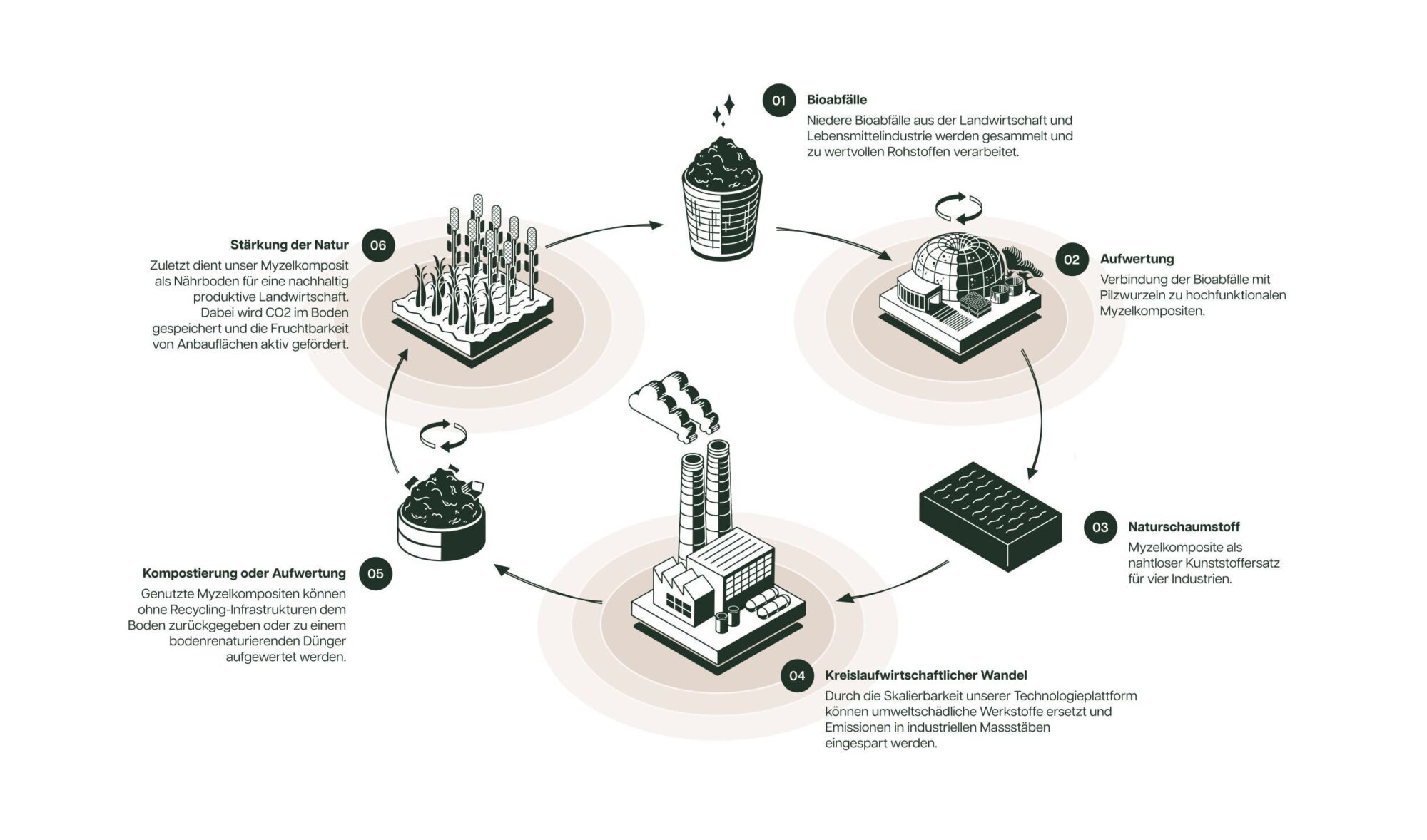 Kreislaufgrafik high Resolution german