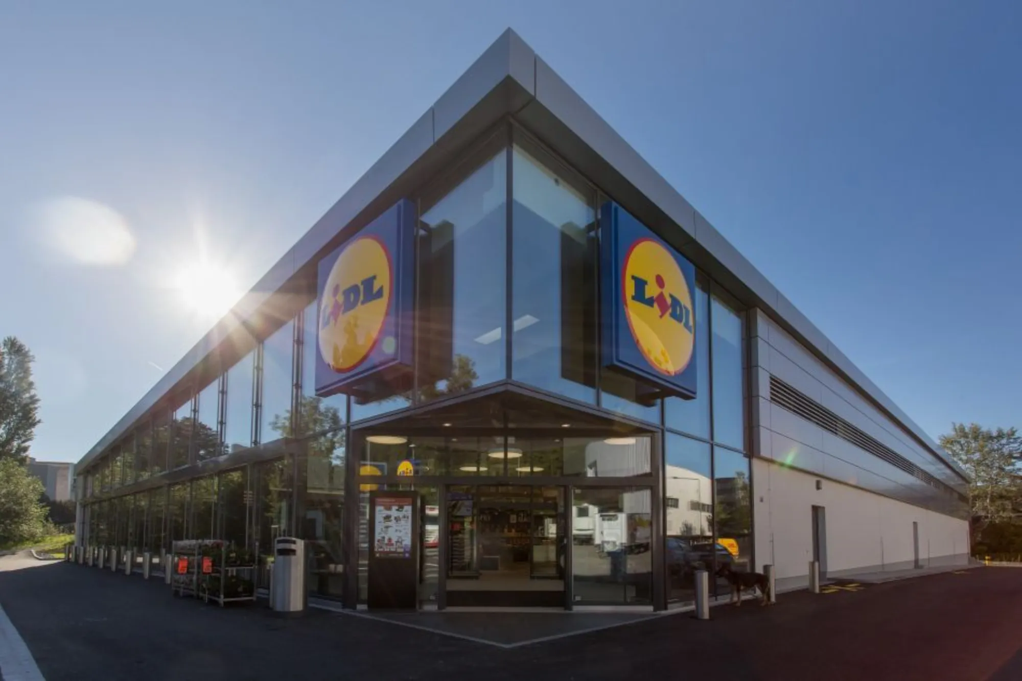 9f4bd7961102 lidl schweiz filiale 2 homepage