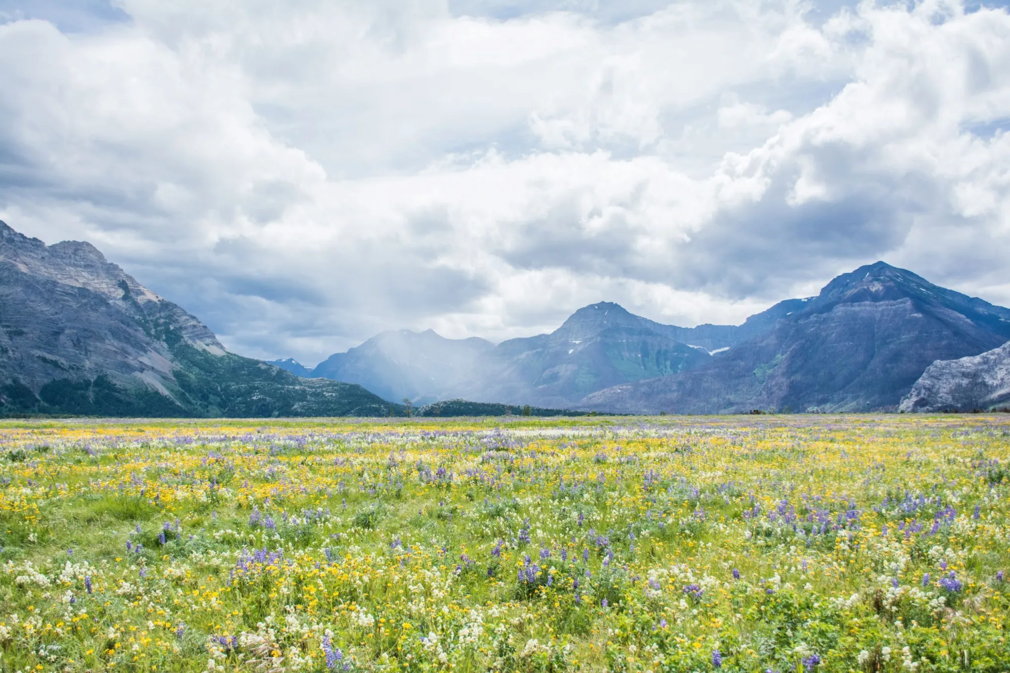 Sharissa johnson Yis49 I Pl Fws unsplash