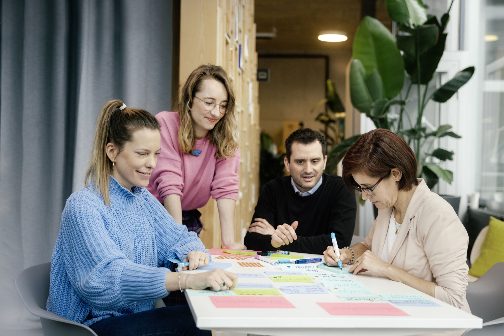 Bild myclimate Bildungsportfolio