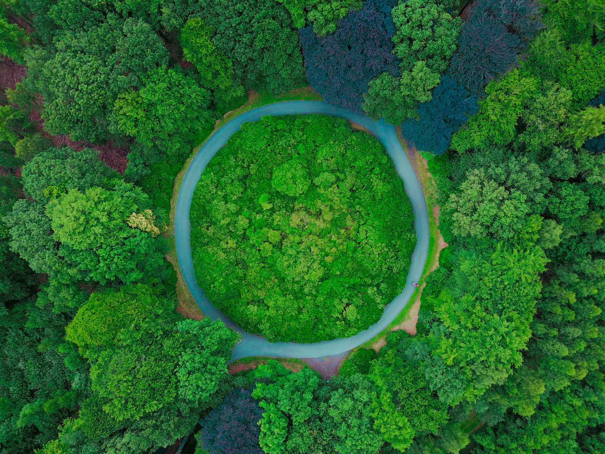 Thomas lambert 407374 unsplash