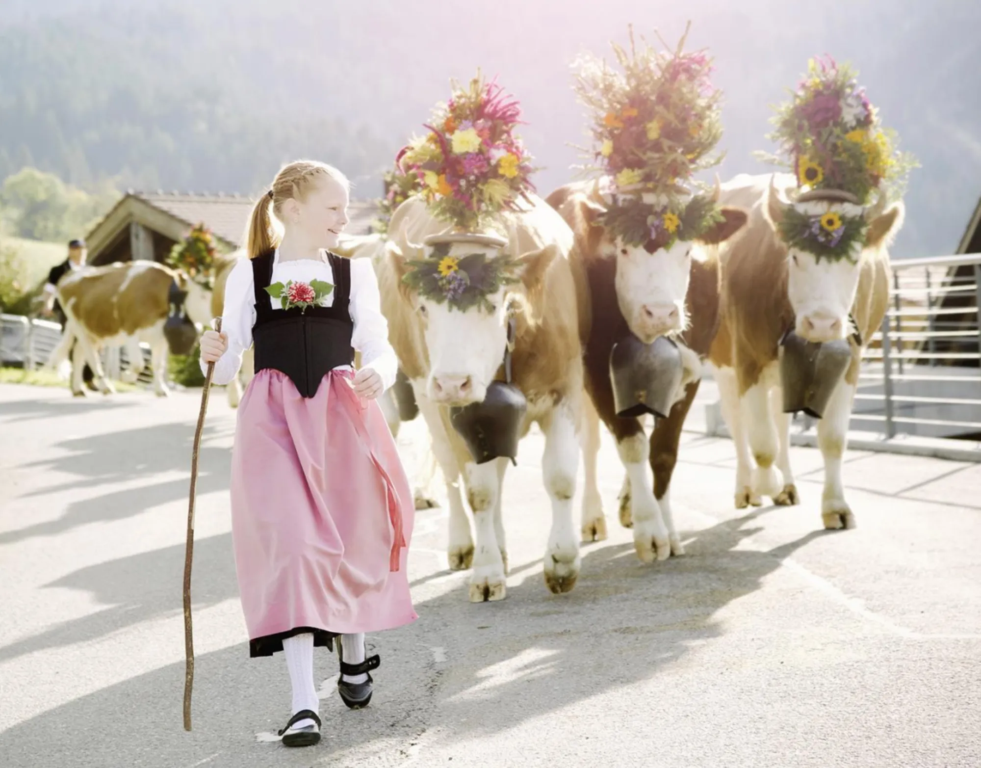 Vontobel swisscanto