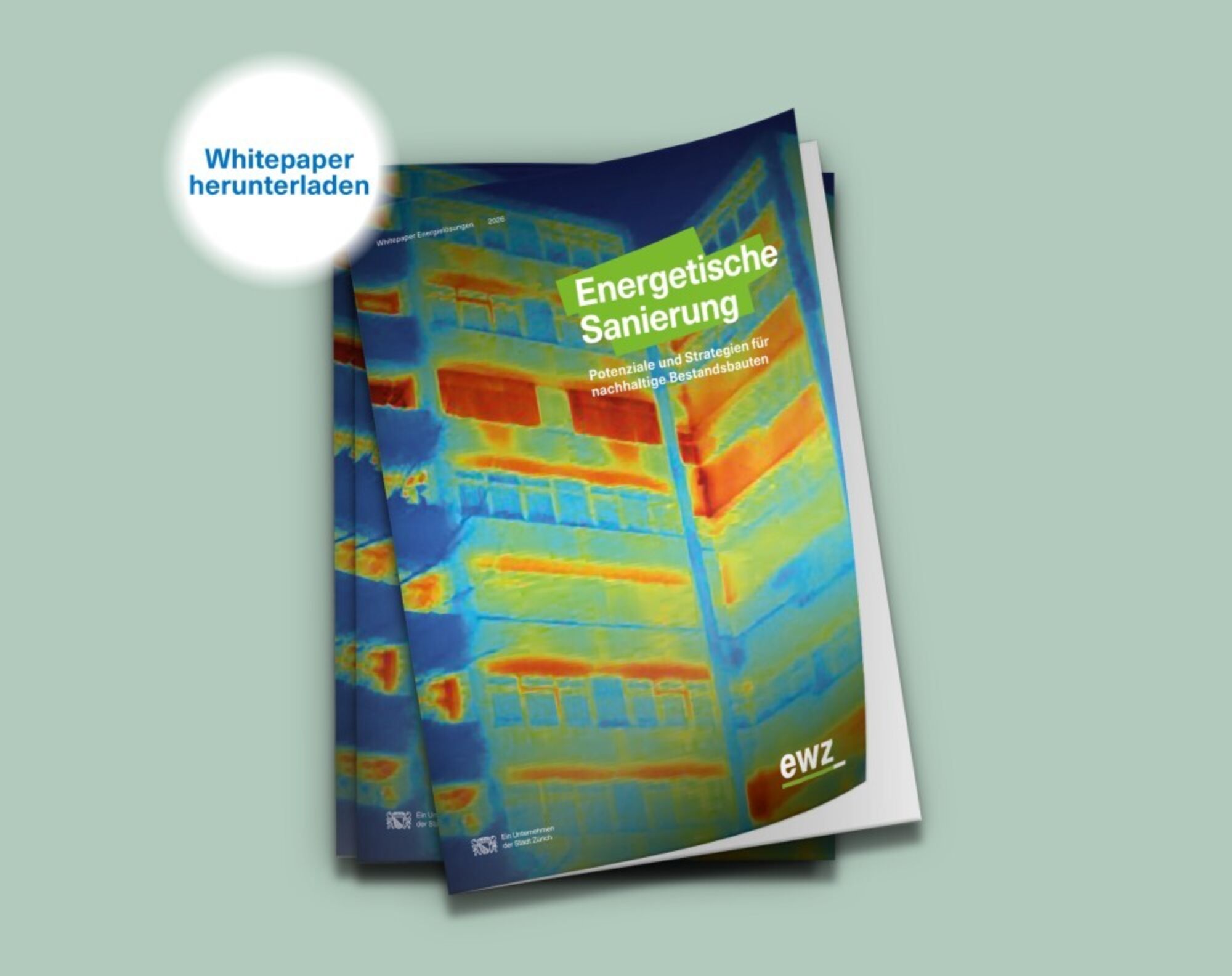 Ewz Whitepaper Energetisch Sanieren s