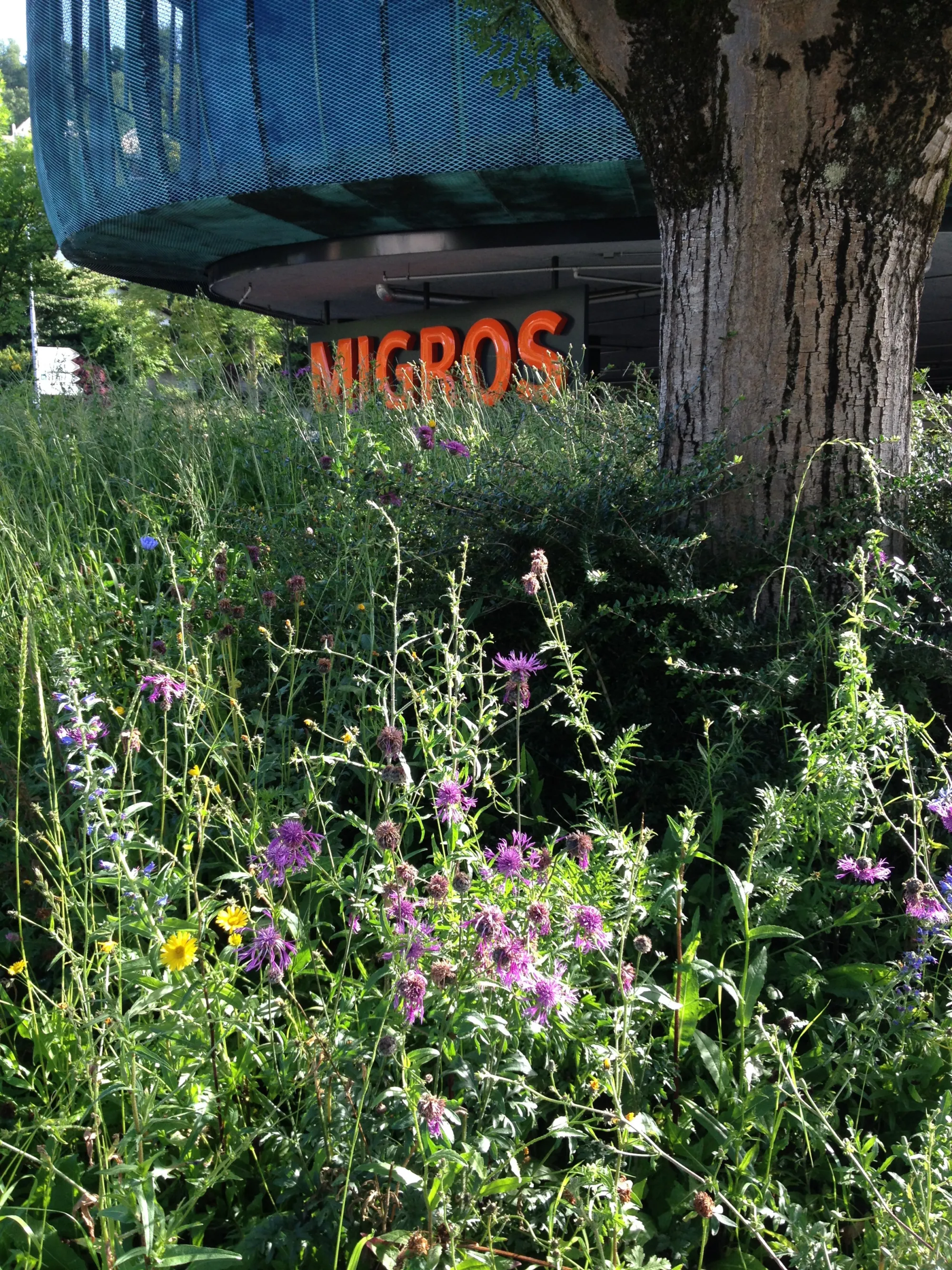 Migros umweltpreis