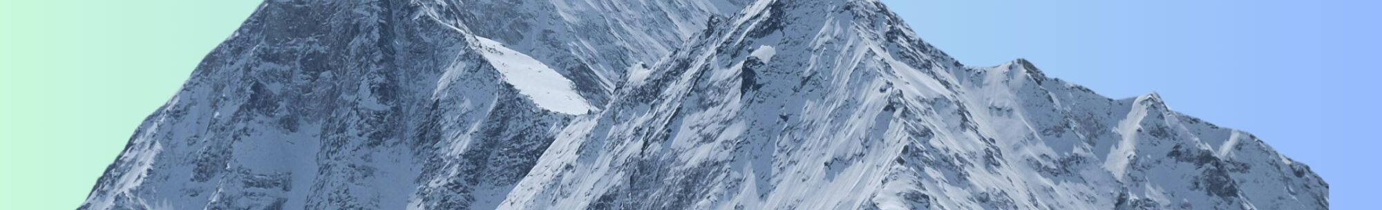 Purpose Web Banner 2160 x 700 px1