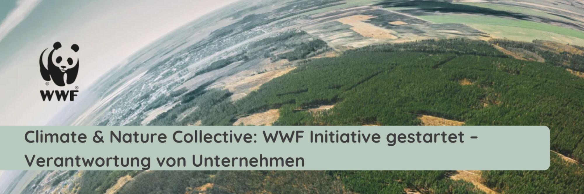 Bildschirmfoto 2026 01 21 um 20 08 09