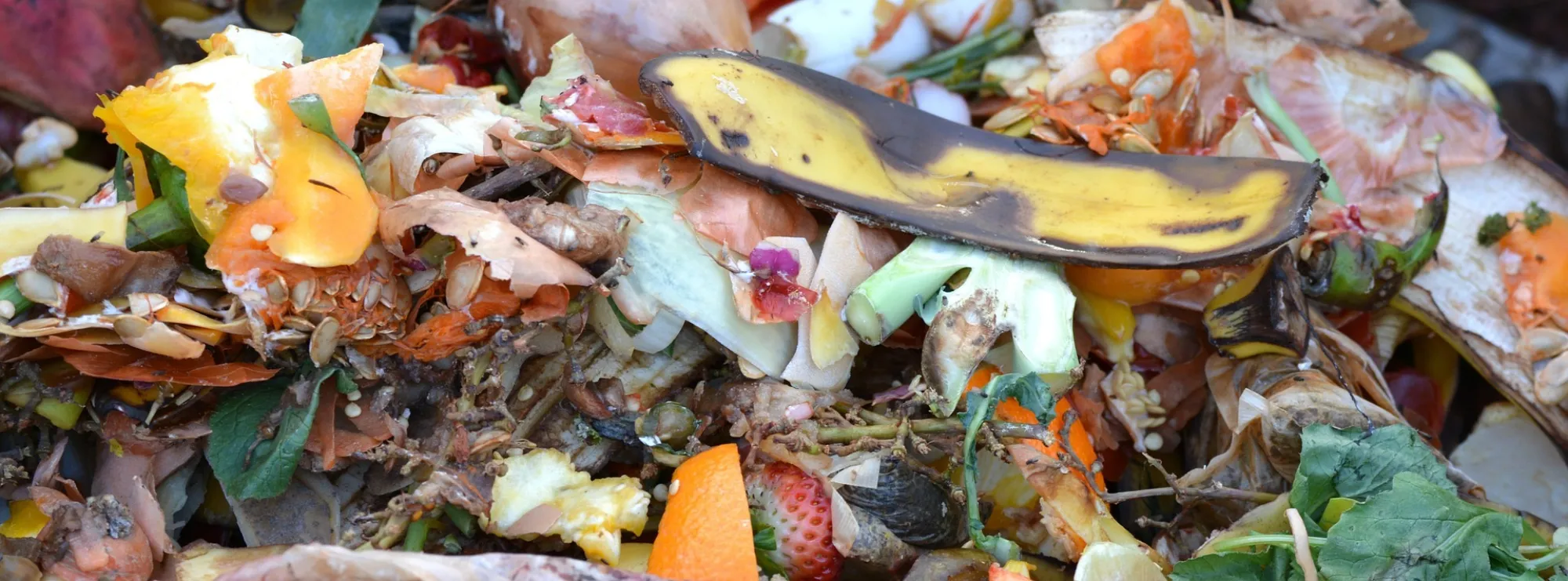 Compost 709020 1920