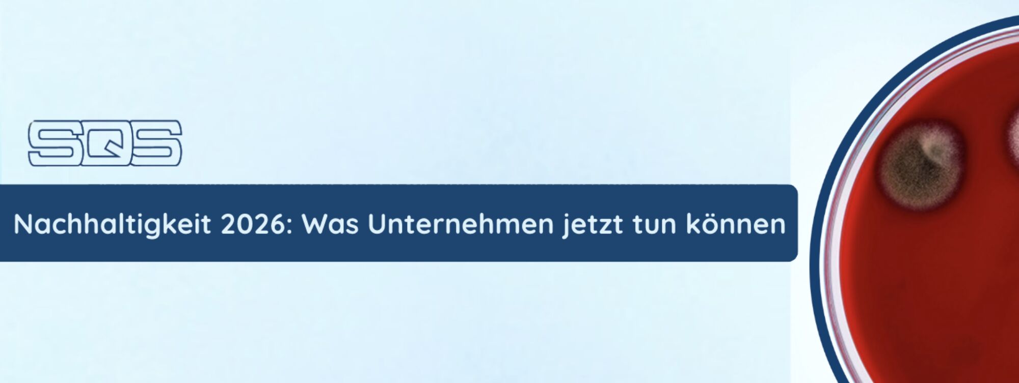 Bildschirmfoto 2026 01 30 um 13 25 04