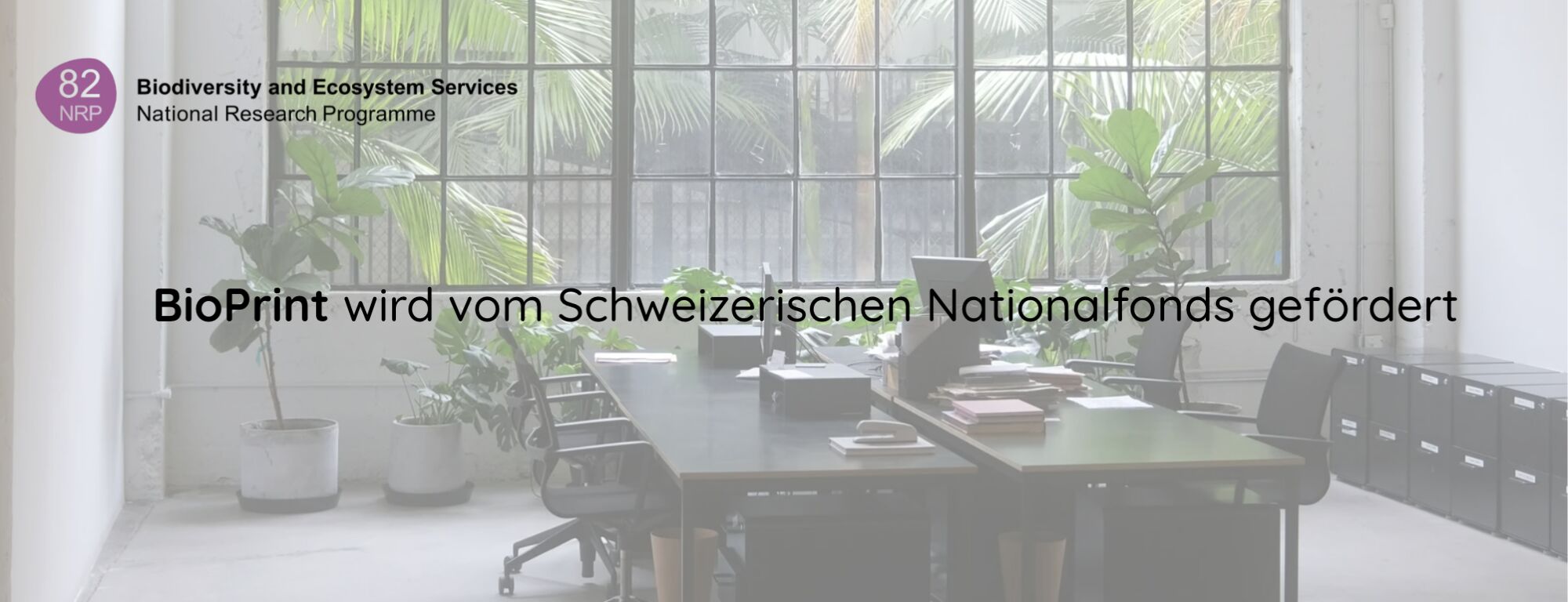 Bildschirmfoto 2025 07 09 um 16 44 45