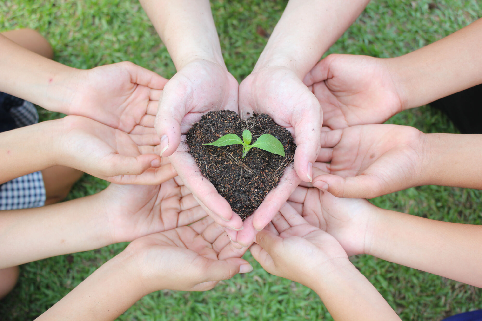 Shutterstock 413432755